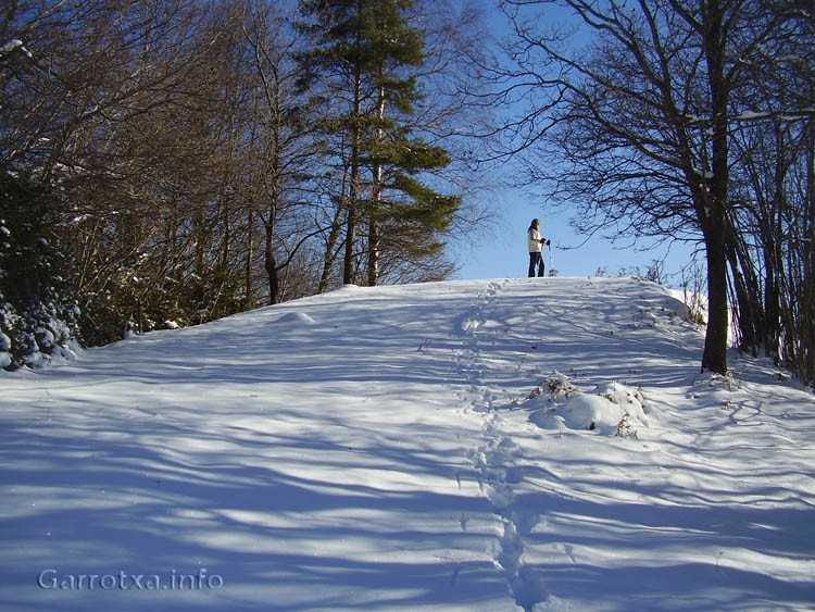 neu a coll de canes